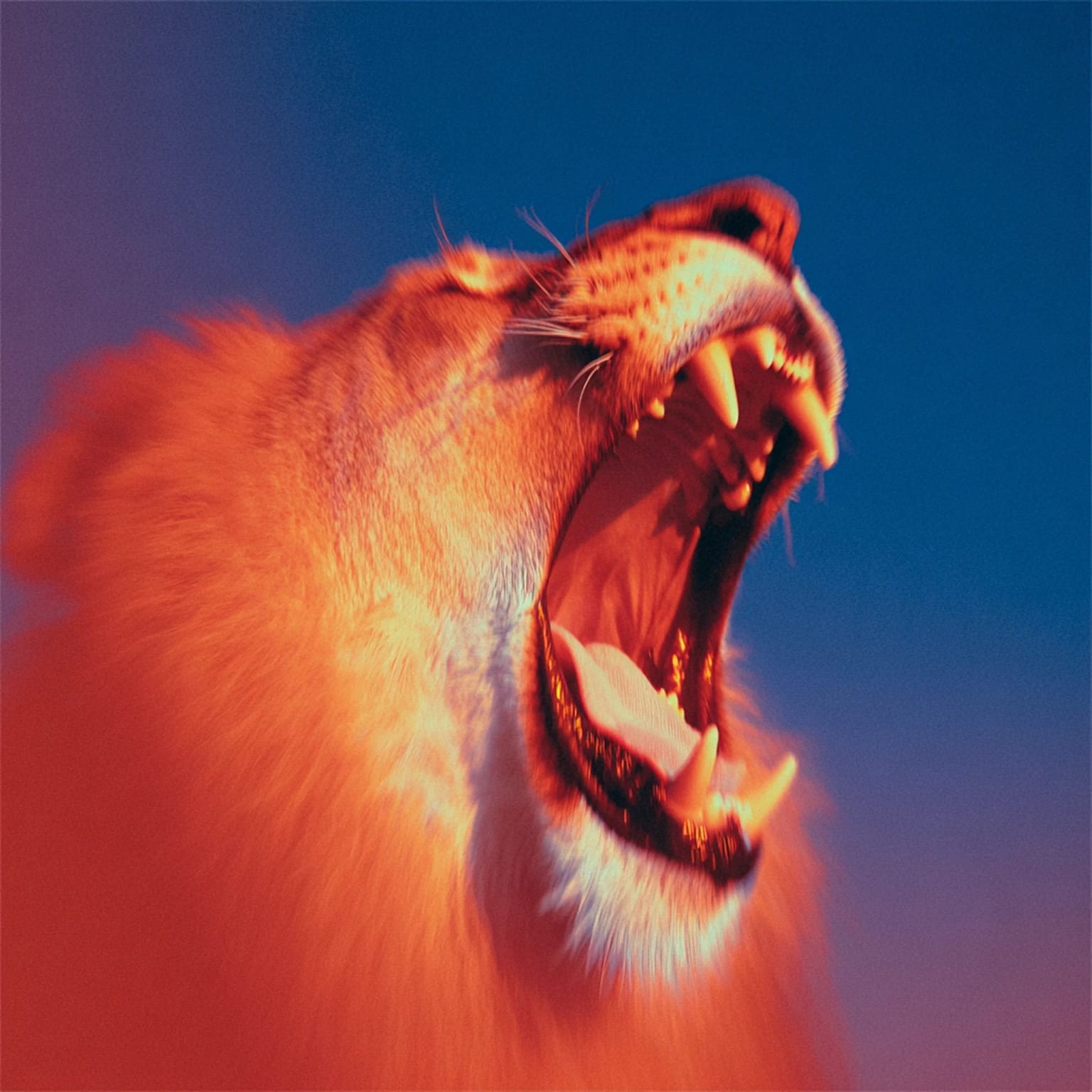 animals