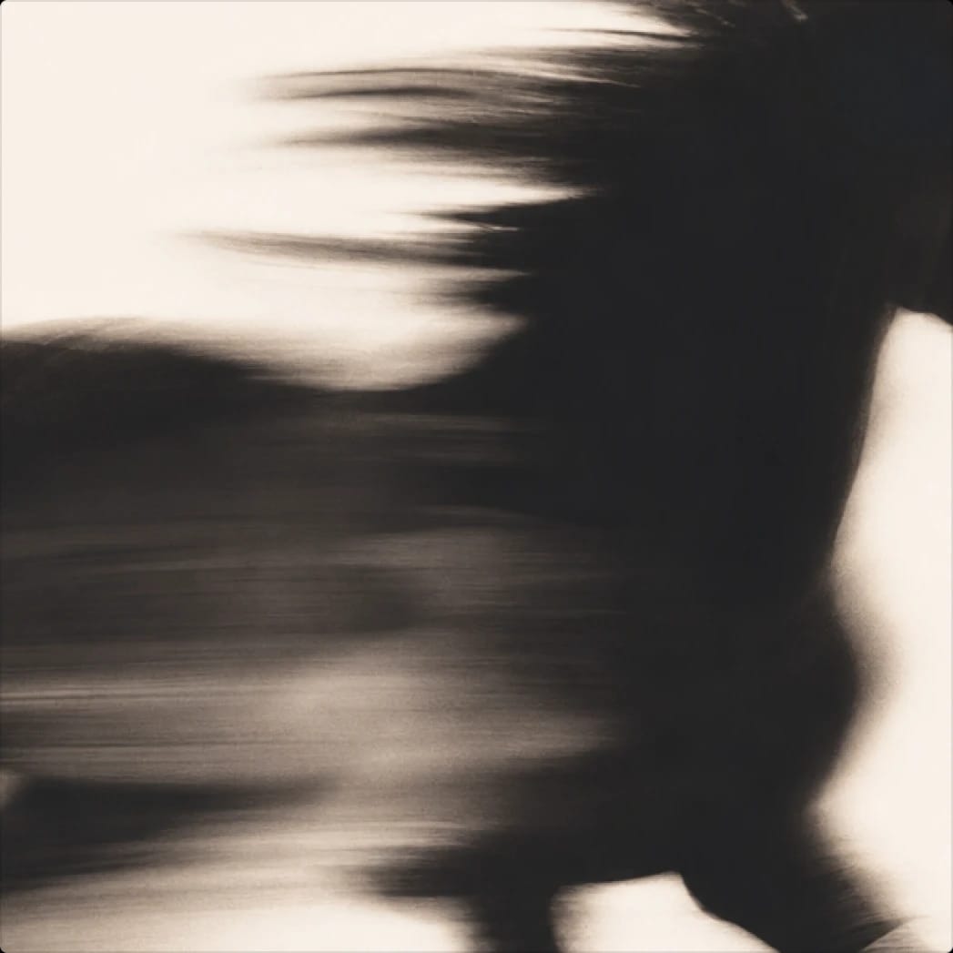 Blurred motion of a galloping horse, creating a dynamic, abstract effect.
