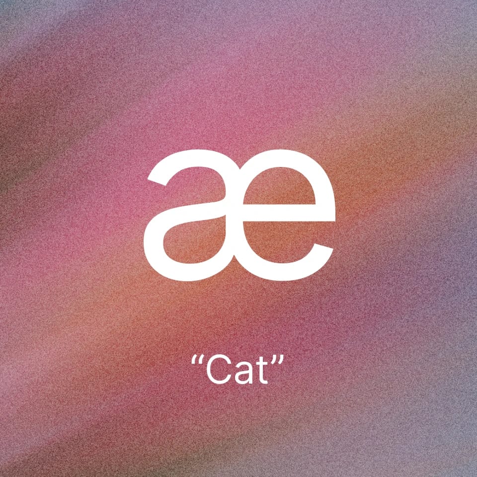 The IPA symbol "æ" with the word "Cat" on a pink and purple gradient background.