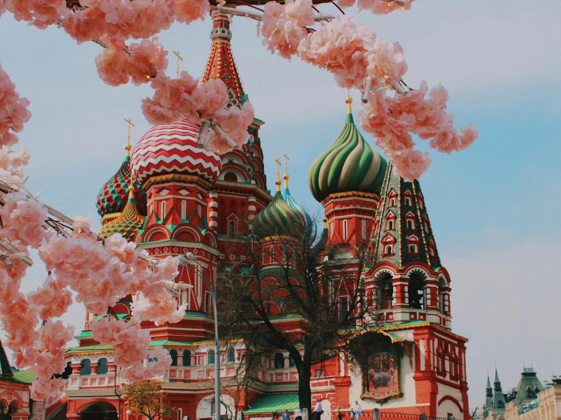 St. Basil's Cathedral with pink cherry blossoms in the foreground.