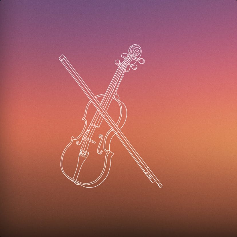 Violin