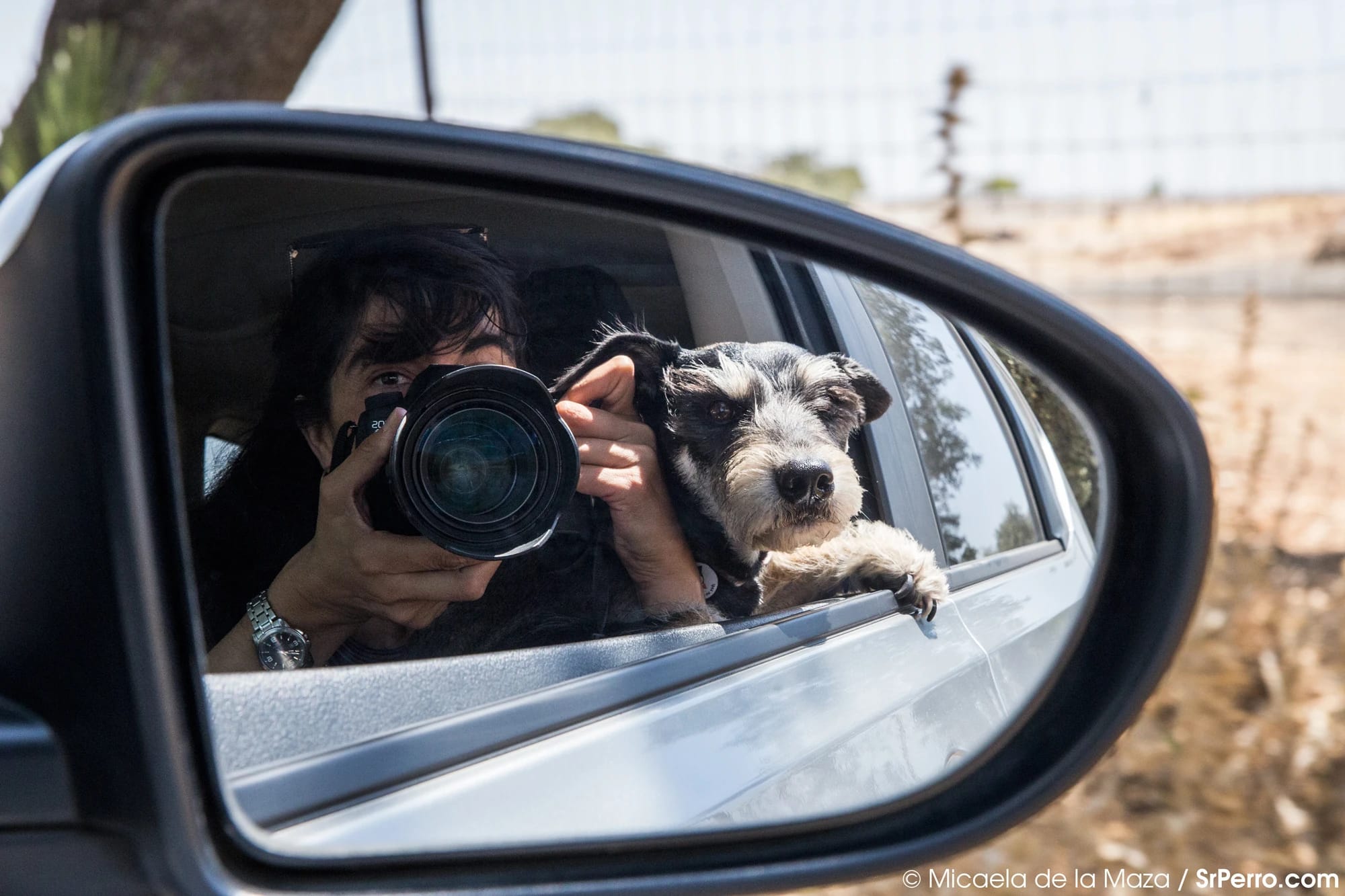 An image of a woman and her dog with their heads out the window. The woman is holding a camera, and taking the photo in the rearview mirror of the car.